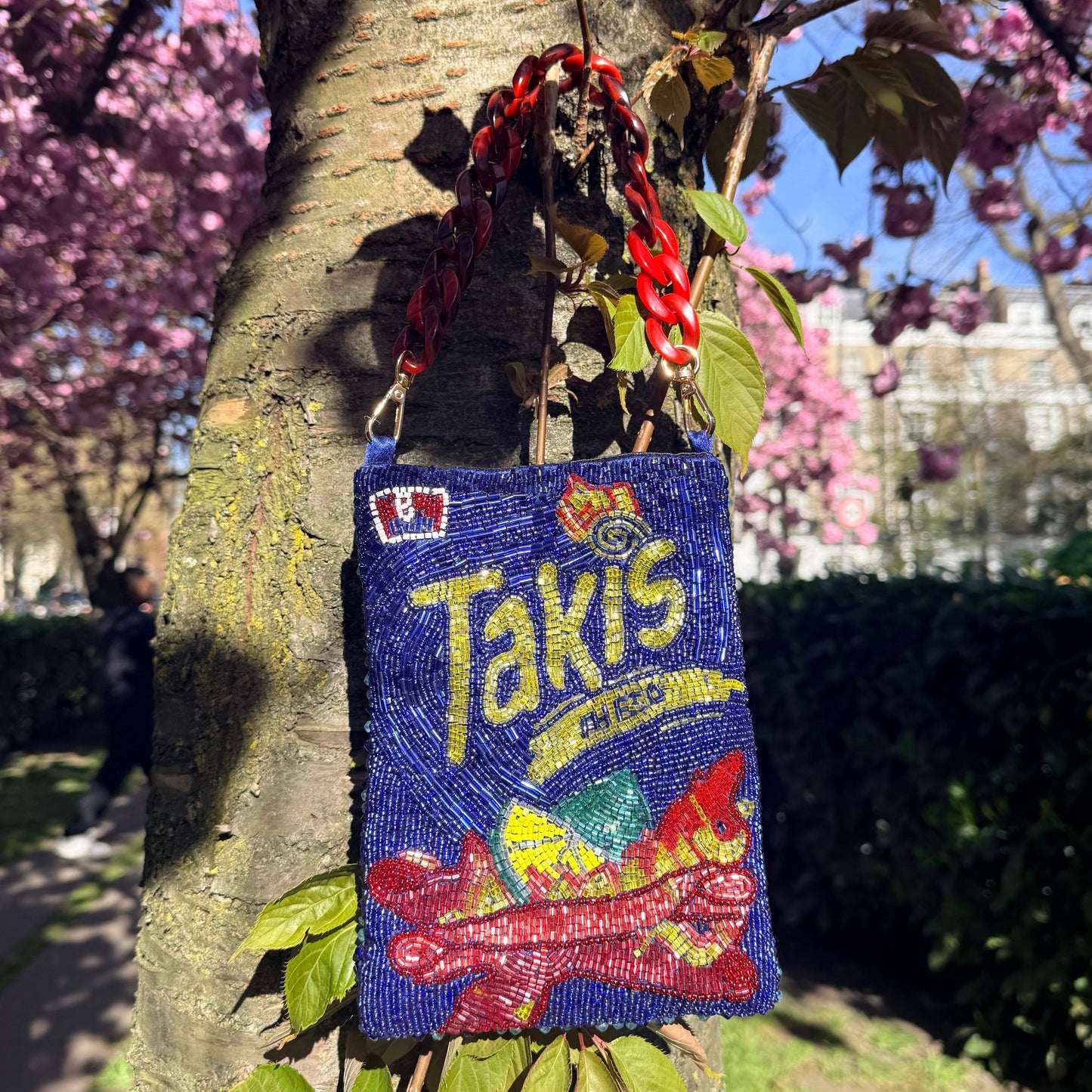 The Takis Bag